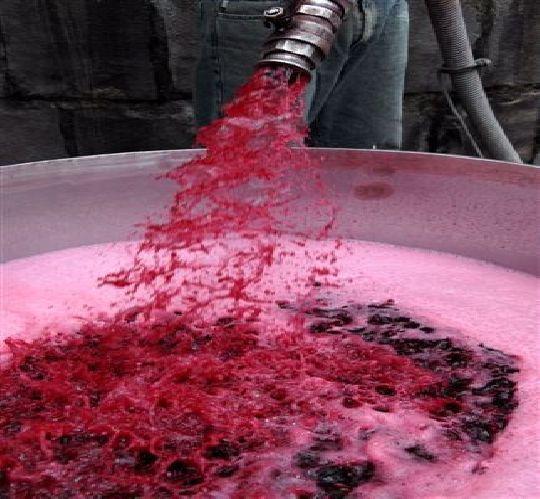 Minist�rio da Agricultura identifica subst�ncia proibida em 13 vin�colas do Rio Grande do Sul