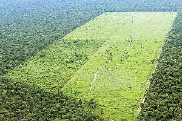 O produtor rural poder� rever termo de compromisso ambiental firmado sob a vig�ncia de legisla��o anterior