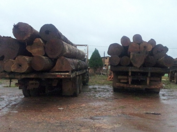 A��o conjunta apreende cinco caminh�es e 55 m� de madeira irregular no Nort�o 