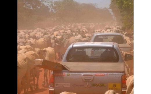 Avan�os e desafios da pecu�ria s�o constatados durante rally em MT
