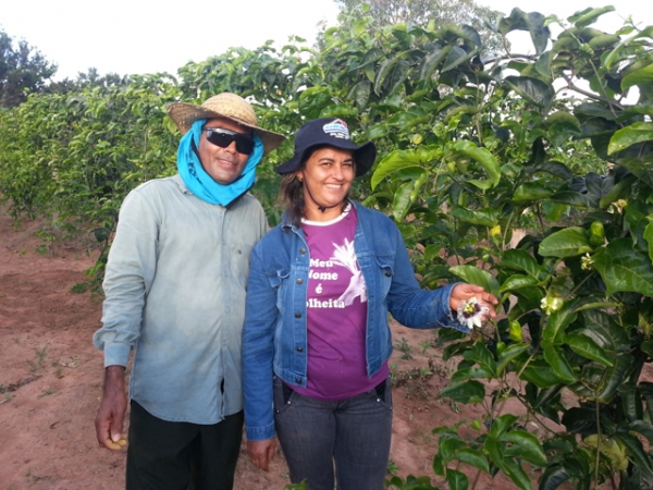 Maracuj� come�a se tornar realidade e gerar renda para agricultura familiar