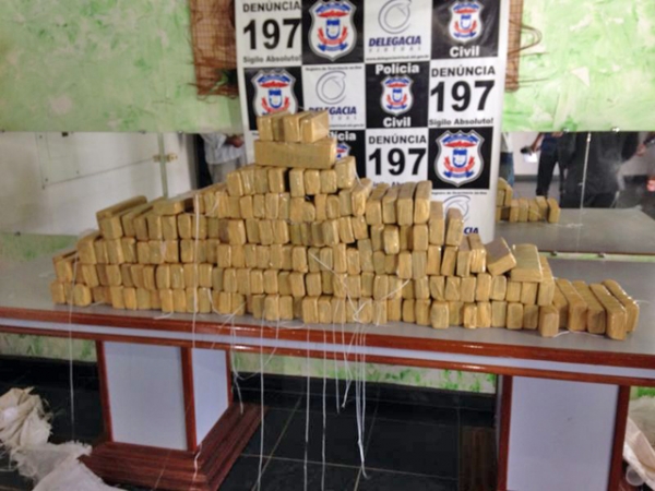 Pol�cia Civil apreende mais de 150 kg de maconha e prende 5 na regi�o de Sinop 