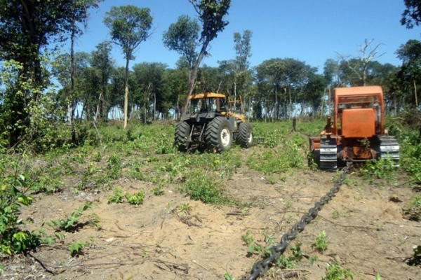 Opera��o Caryocar aplica R$ 20 milh�es em multas em Mato Grosso 