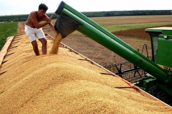 Safra crescente fortalece avan�o da agroind�stria em Mato Grosso