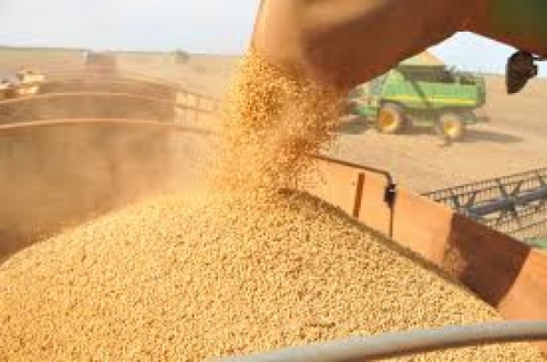 Lucro com soja em Mato Grosso ser� o menor em 5 safras