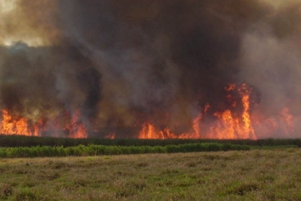 Alerta em Mato Grosso: n�mero de queimadas dispara no estado