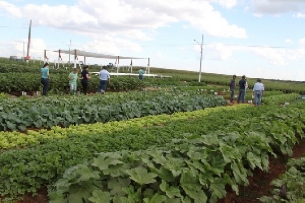 Pesquisa mostra que 80% dos consumidores est�o preocupados com a sustentabilidade na agricultura