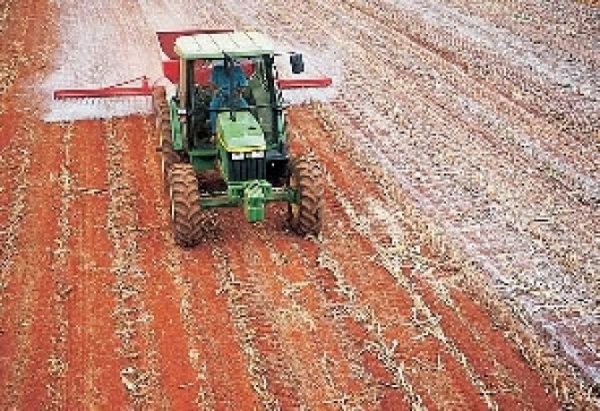 Vanguarda deve reduzir em 4% �rea de plantio no ciclo 2014/15