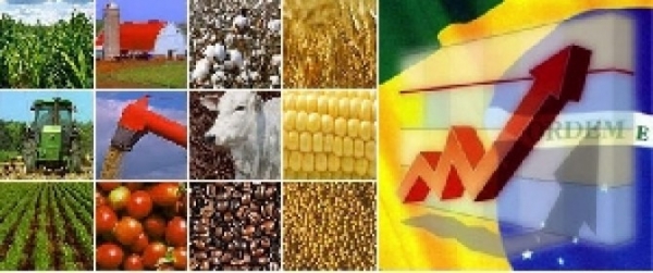 Valor Bruto da Produ��o Agropecu�ria � de R$ 442,4 bilh�es