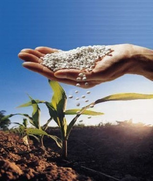 Petrobras testa novo fertilizante agr�cola no Paran�
