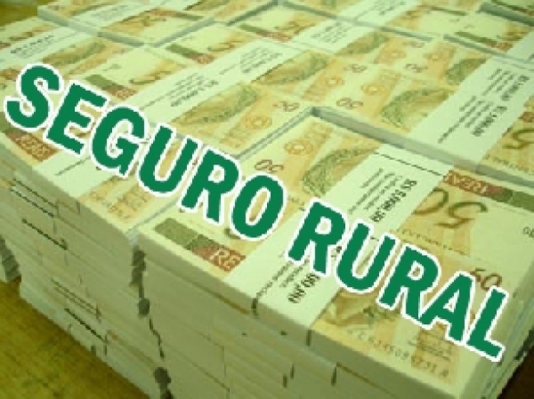 Governo libera pagamento a benefici�rios do Garantia Safra