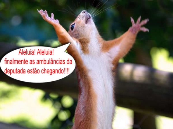 Oba, finalmente as ambul�ncias da deputada Luciane est�o chegando.