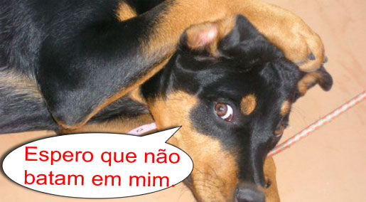 Discursos inflamados e ataques come�am acontecer na campanha eleitoral de Juara.