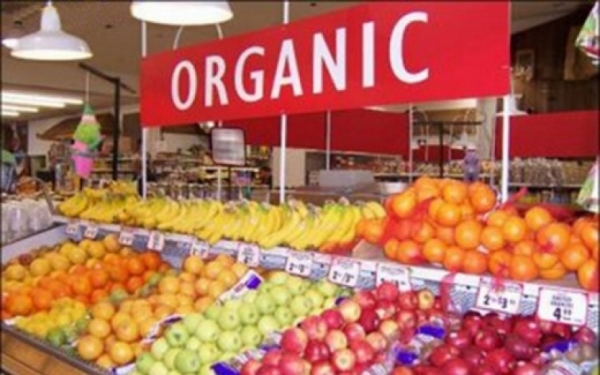 Hortali�as produzidas em MT representam 42,7% do consumo total