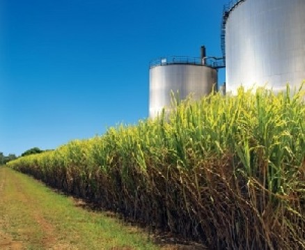 Mato Grosso tem potencial para maior produtor do Pa�s, diz Sindalcool
