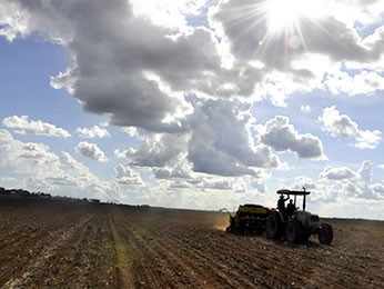 Plantio da soja para em MT; replantio � certo em algumas �reas, diz Aprosoja