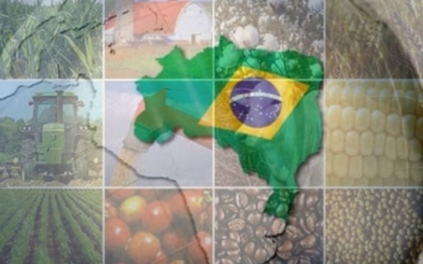 Indica��o Geogr�fica n�o se cria, se reconhece