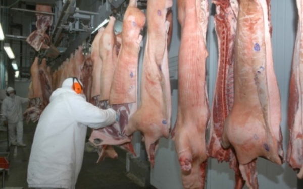 Frango e su�nos seguem padr�es inversos no ano