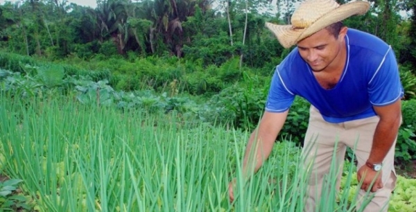 Paran� investe R$ 132,1 milh�es em programas para pequenos agricultores