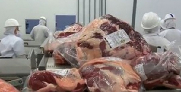 Similares �s de janeiro, vendas externas de carnes continuam com fraco desempenho