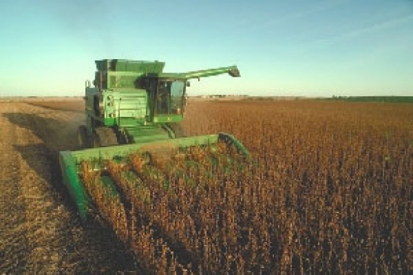Colheita de soja chega a 77% e milho safrinha atinge 63% da �rea prevista
