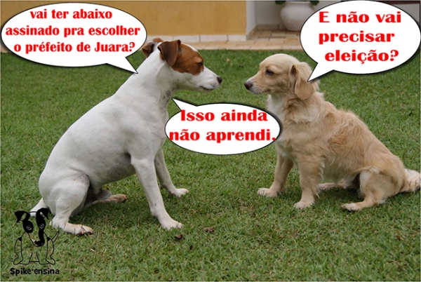 Abaixo assinado muda regras das elei��es