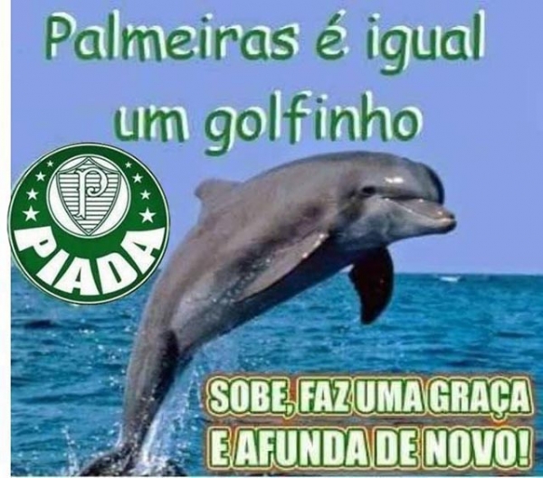 Palmeirenses de Juara choram derrota para o Peixe e perda do T�tulo Paulista