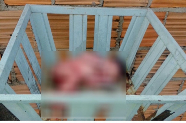 M�e diz que abandonou beb� por achar que ela estava morta