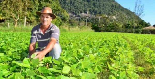 GTPS apoia Semin�rio Mato Grosso: Cadeias Produtivas Sustent�veis