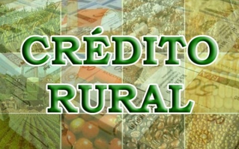 Mato Grosso lidera contrata��es do Pronaf