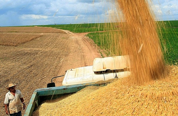 Economista do USDA aponta que agroneg�cio do Brasil crescer� mais que dos EUA