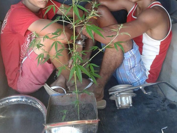 PM Juara recupera motos furtadas, det�m homem por embriagues ao volante e apreende rapazes com p� de maconha.