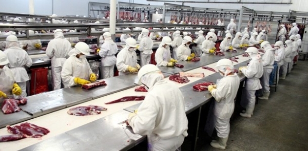 EUA v�o abrir mercado para carne bovina do Brasil beneficiando Mato Grosso