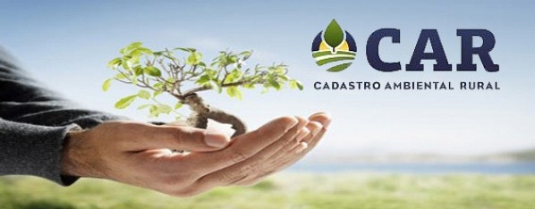 Ades�o ao CAR chegoua 57% da �rea nacional em junho