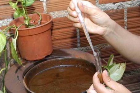 Mato Grosso registra aumento de 81% nos casos de dengue e 5 �bitos confirmados