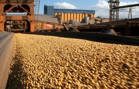 China � respons�vel por 39,8% das exporta��es de Mato Grosso; s� complexo soja 97%
