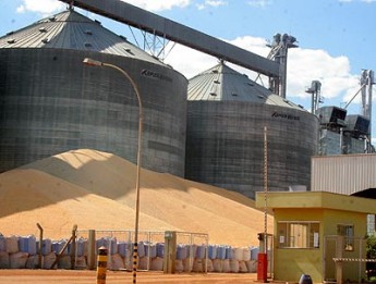 Falta de armaz�ns para milho pode gerar perdas em MT