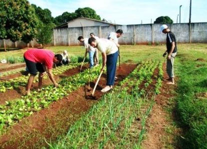 PIB agropecu�rio deve ser de R$ 1,2 trilh�o