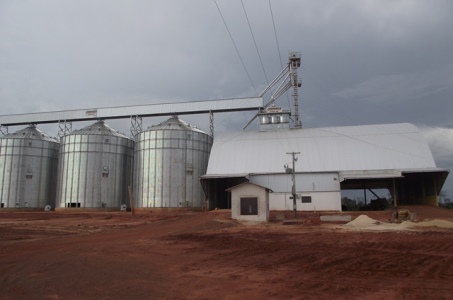 Cooperativas buscam mercado externo por falta de armaz�ns