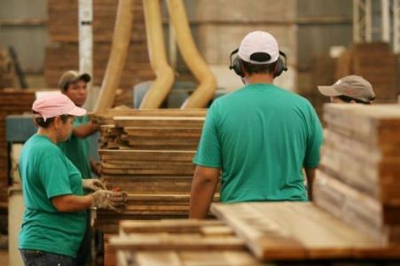 Ind�stria da madeira e mobili�rio contratam 10% a menos em Mato Grosso
