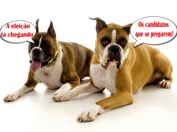 � hora de trabalhar e o Faro Fino est� atento 