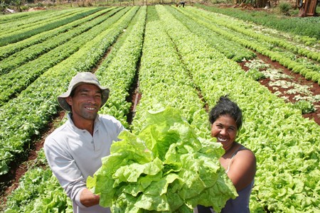 Produ��o da agricultura familiar ser� destinada a detentos em MT
