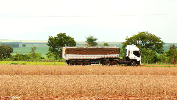 Gargalo para a competitividade do agro ainda � escoamento