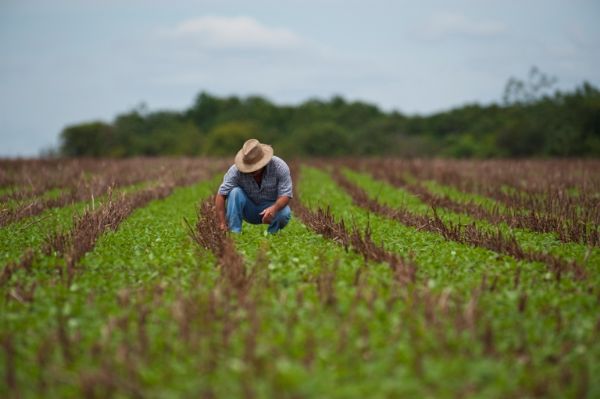 Produ��o de alimentos precisa aumentar 80% para alimentar Mundo em 2050