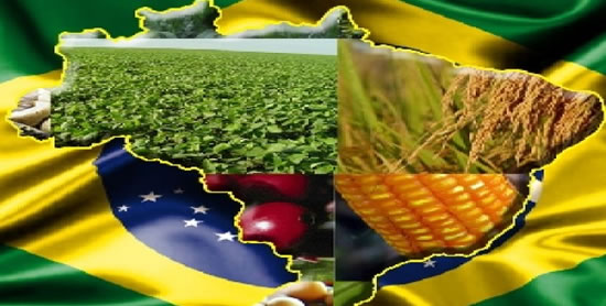 R�ssia aumenta compras e exporta��es brasileiras ultrapassam 60 mil toneladas