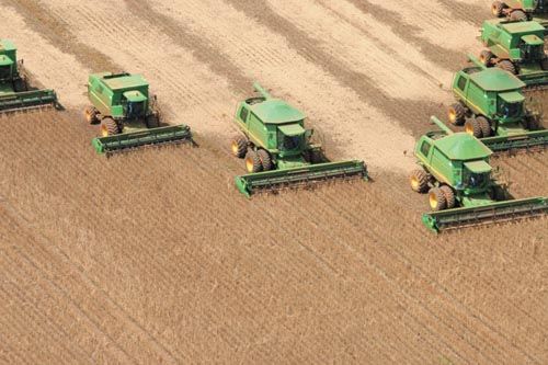 Produtores de Mato Grosso ter�o autoriza��o provis�ria para atividade rural
