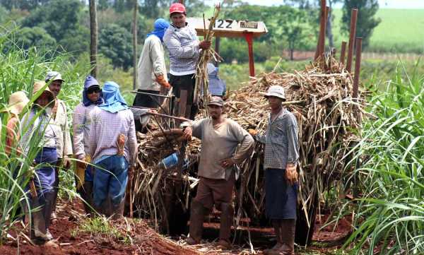 Mato Grosso � citado como refer�ncia no combate ao trabalho escravo pelo STF