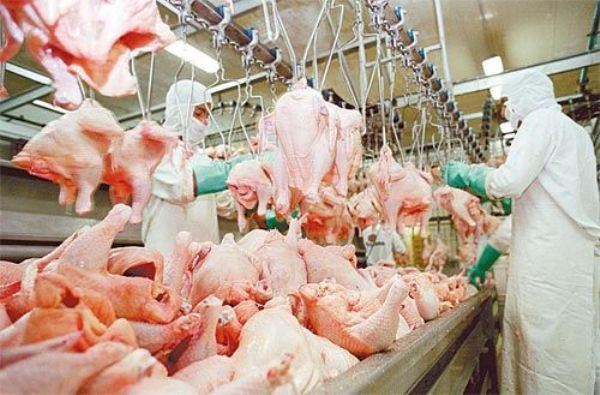 M�xico realiza visita em frigor�ficos de aves em Mato Grosso
