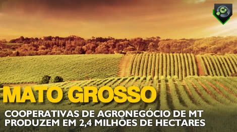 Agroneg�cio se coloca � disposi��o das PPPs em MT