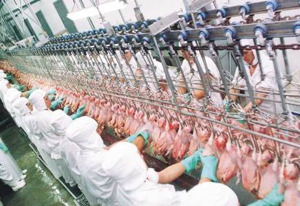 Brasil exporta frango para mais de 150 pa�ses